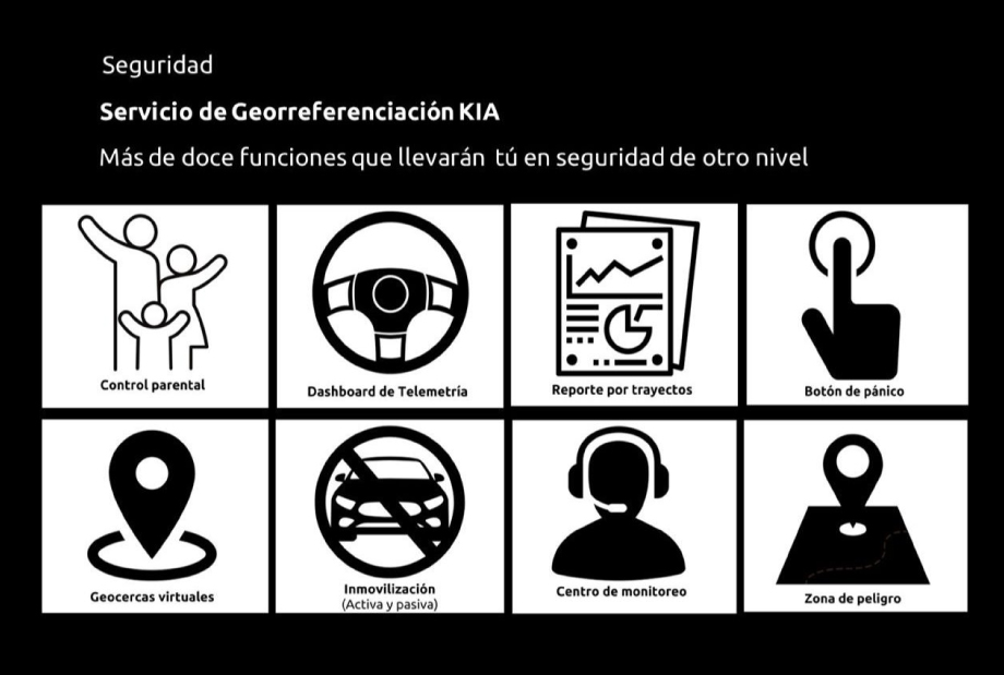 seguridad-geo.jpg